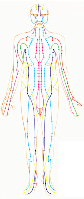 agopuntura meridiani corpo