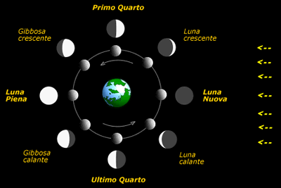 http://www.astrosurf.com/cosmoweb/luna/fasi.gif