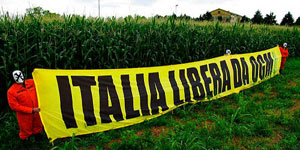 ORG  – L’agricoltura Italiana ha ottenuto una grande vittoria contro gli OGM