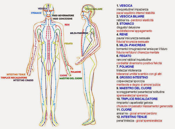 meridiani energetici centri energetici corpo