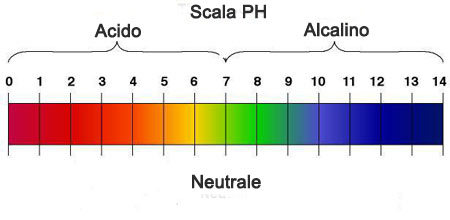 ph scala acido alcalino